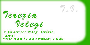 terezia velegi business card